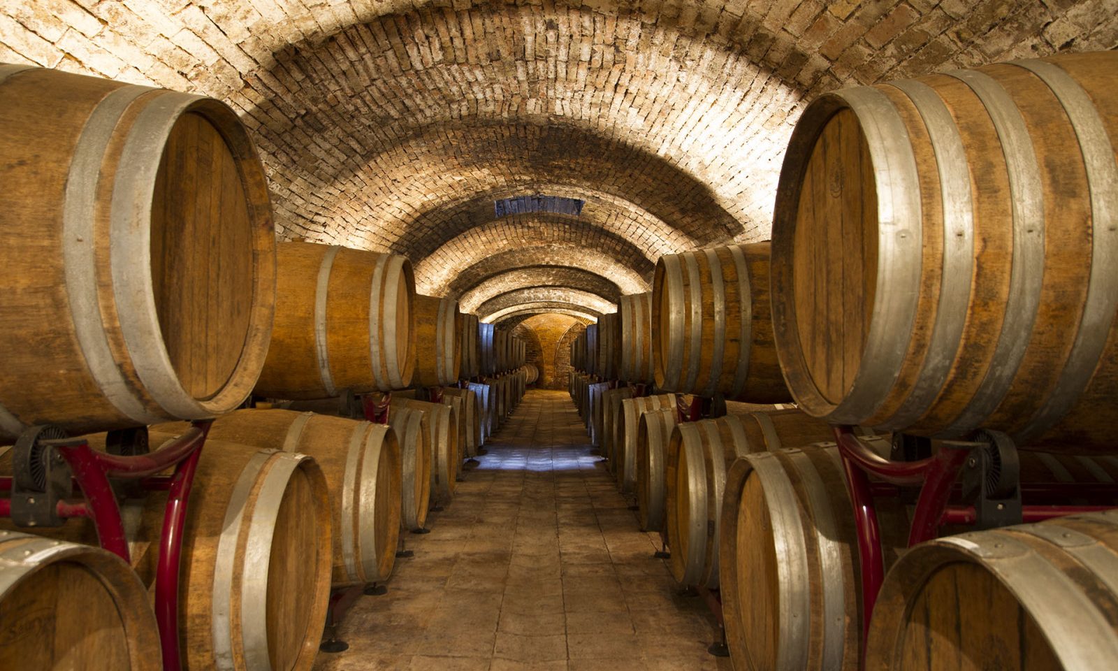 illuminazione-cantina-vinicola-aziende-cantina-blasi