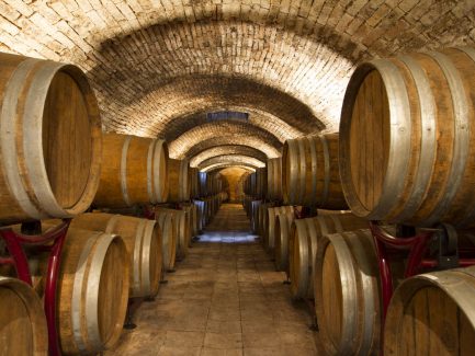 illuminazione-cantina-vinicola-aziende-cantina-blasi