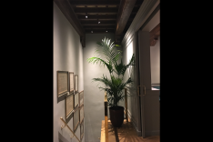 cantinetta-antinori-firenze-lighting-design-scale-metrolight