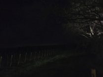 Tenuta-Guado-al-Tasso-bolgheri-lighting-design-esterni-metrolight-3