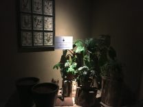 Tenuta-Guado-al-Tasso-bolgheri-lighting-design-esterni-metrolight-4