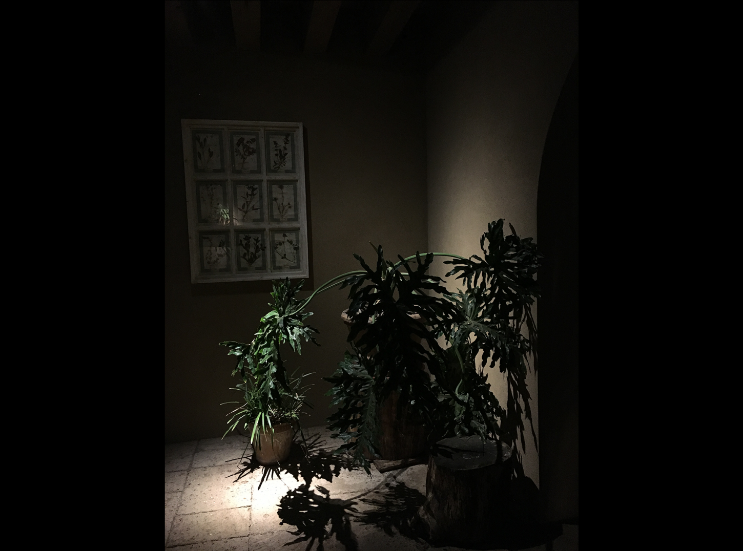 Tenuta-Guado-al-Tasso-bolgheri-lighting-design-esterni-metrolight-6