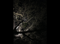 Tenuta-Guado-al-Tasso-bolgheri-lighting-design-esterni-metrolight-8