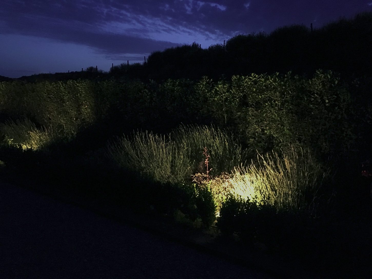 Tenuta-San-Donato-in-Perano-lighting-design-esterni-metrolight-2