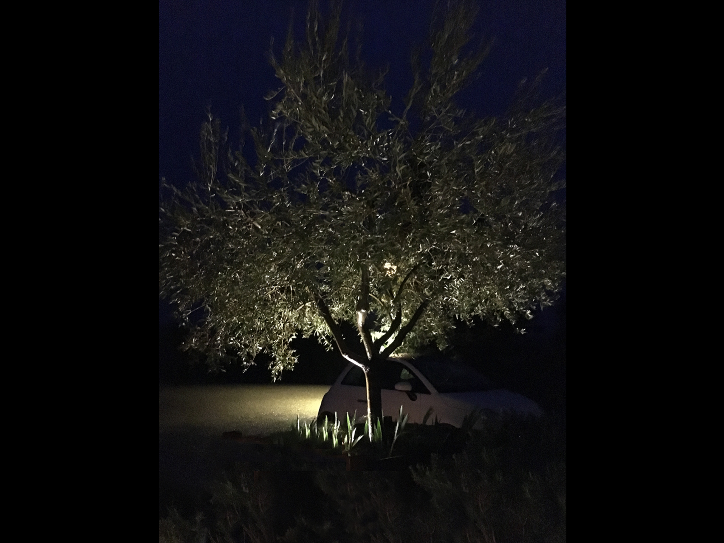 Tenuta-San-Donato-in-Perano-lighting-design-esterni-metrolight-5