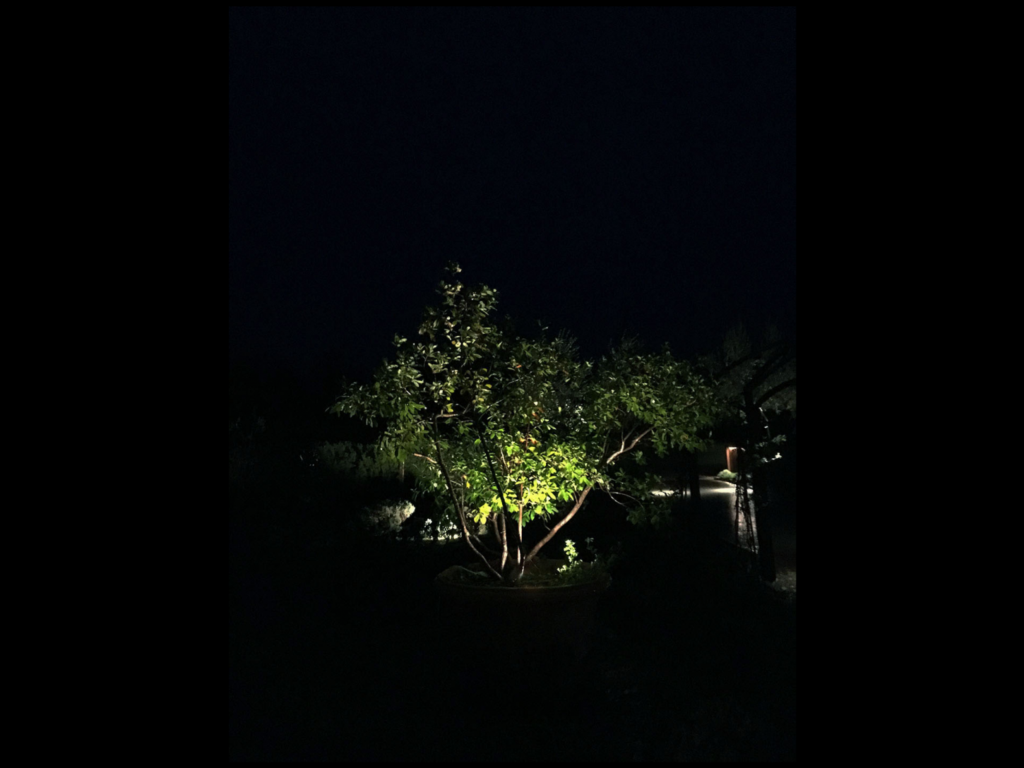 Tenuta-San-Donato-in-Perano-lighting-design-esterni-metrolight-6