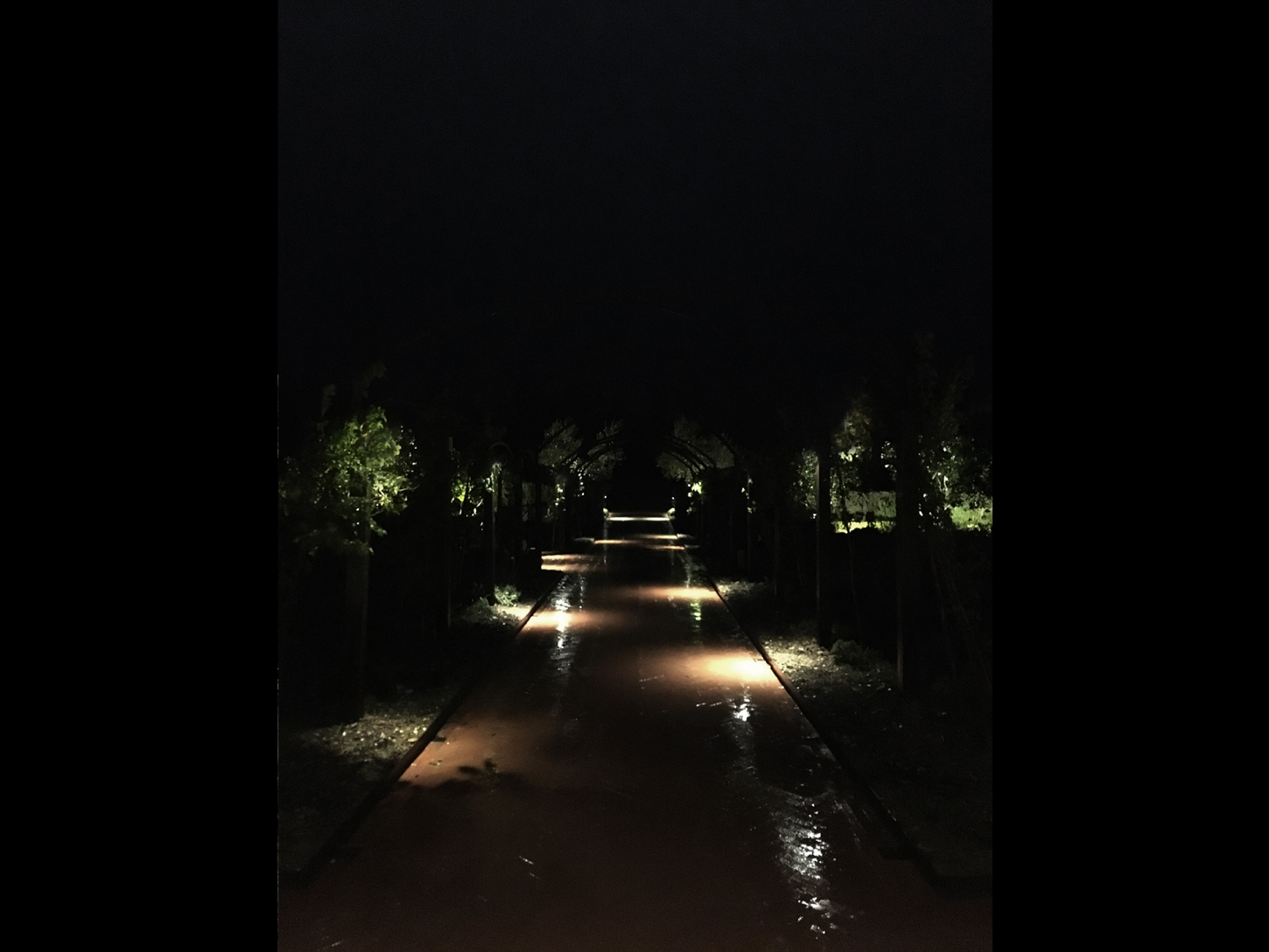 Tenuta-San-Donato-in-Perano-lighting-design-esterni-metrolight-8