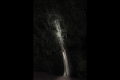 giardino-parco-lighting-design-natura-metrolight-11