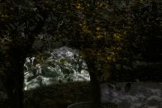 giardino-parco-lighting-design-natura-metrolight-4