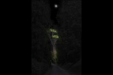 giardino-parco-lighting-design-natura-metrolight-9