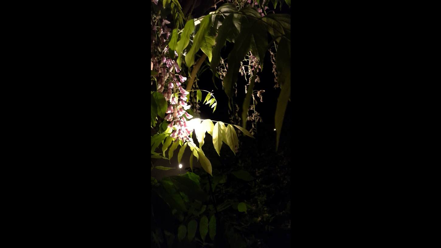 giardino-santa-margherita-corte-interna-firenze-metrolight-3