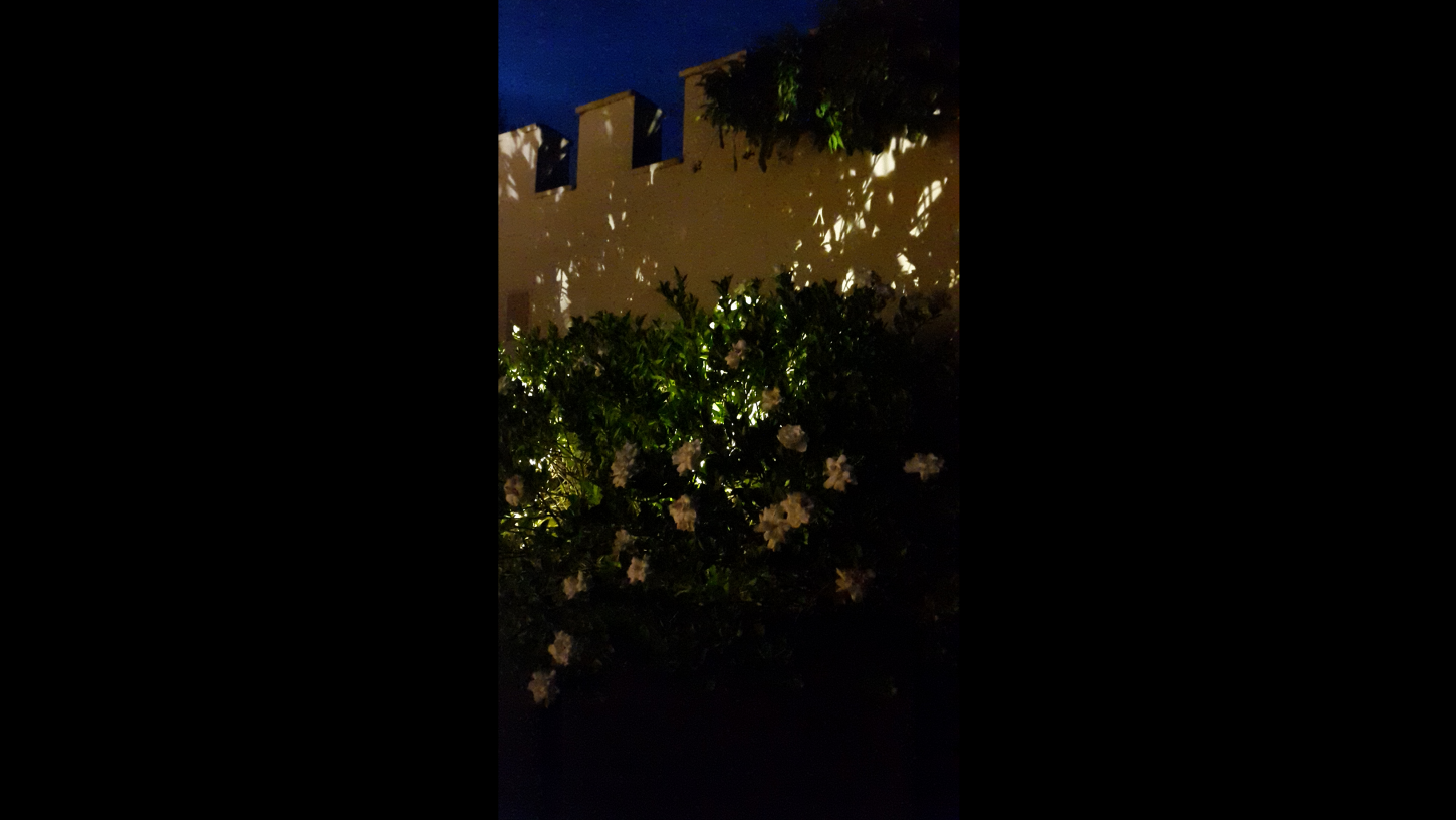 giardino-santa-margherita-corte-interna-firenze-metrolight-5