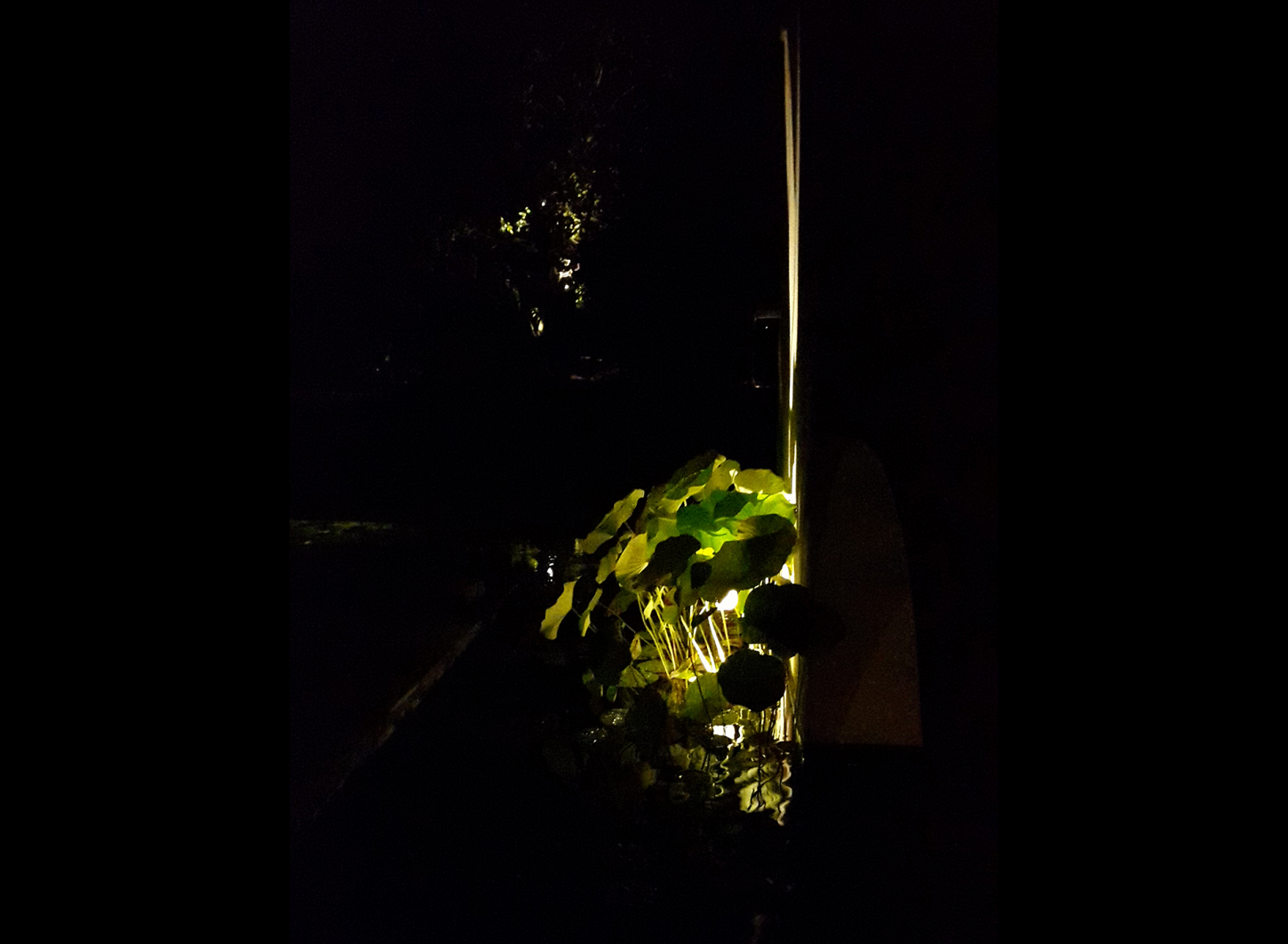 giardino-segreto-lighting-design-metrolight-11