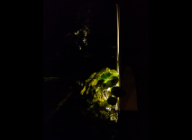 giardino-segreto-lighting-design-metrolight-11