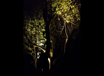 giardino-segreto-lighting-design-metrolight-5