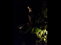 giardino-segreto-lighting-design-metrolight-7