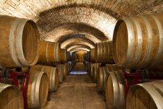 illuminazione-cantina-vinicola-aziende-cantina-blasi