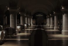 illuminazione-cantina-vinicola-san-donato-in-perano-metrolight-1
