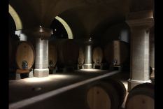 illuminazione-cantina-vinicola-san-donato-in-perano-metrolight-2