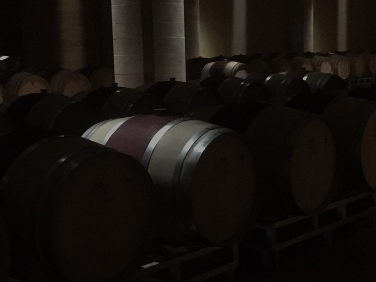 illuminazione-cantina-vinicola-san-donato-in-perano-metrolight-8