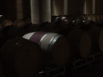 illuminazione-cantina-vinicola-san-donato-in-perano-metrolight-8