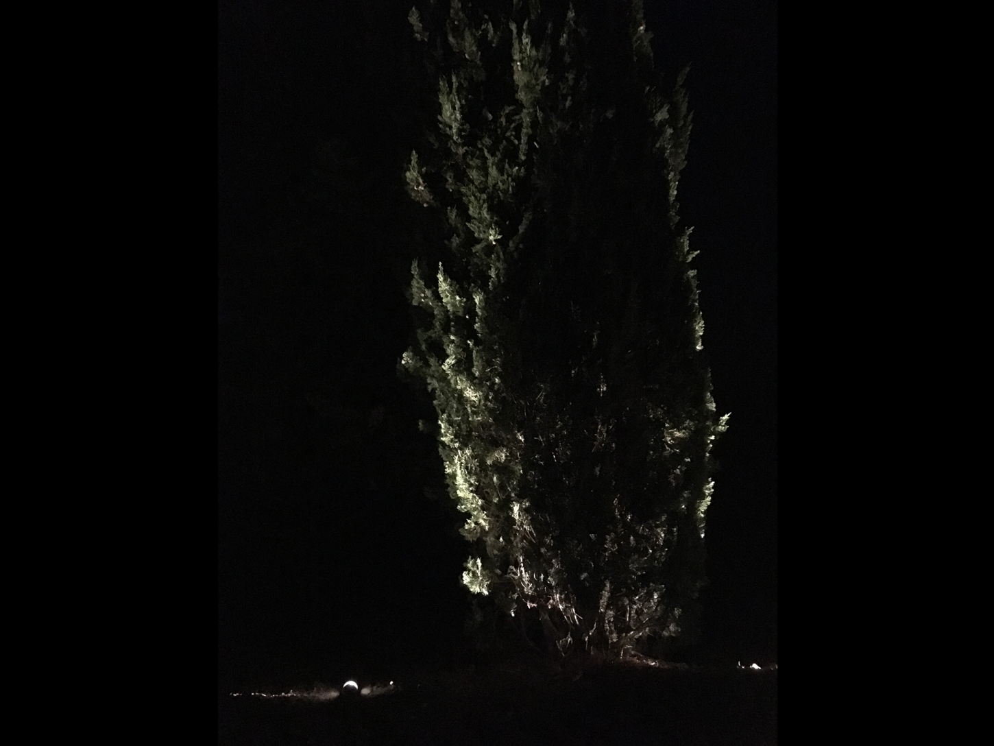 illuminazione-esterni-giardini-ville-belriguardo-metrolight-10