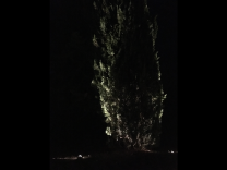 illuminazione-esterni-giardini-ville-belriguardo-metrolight-10