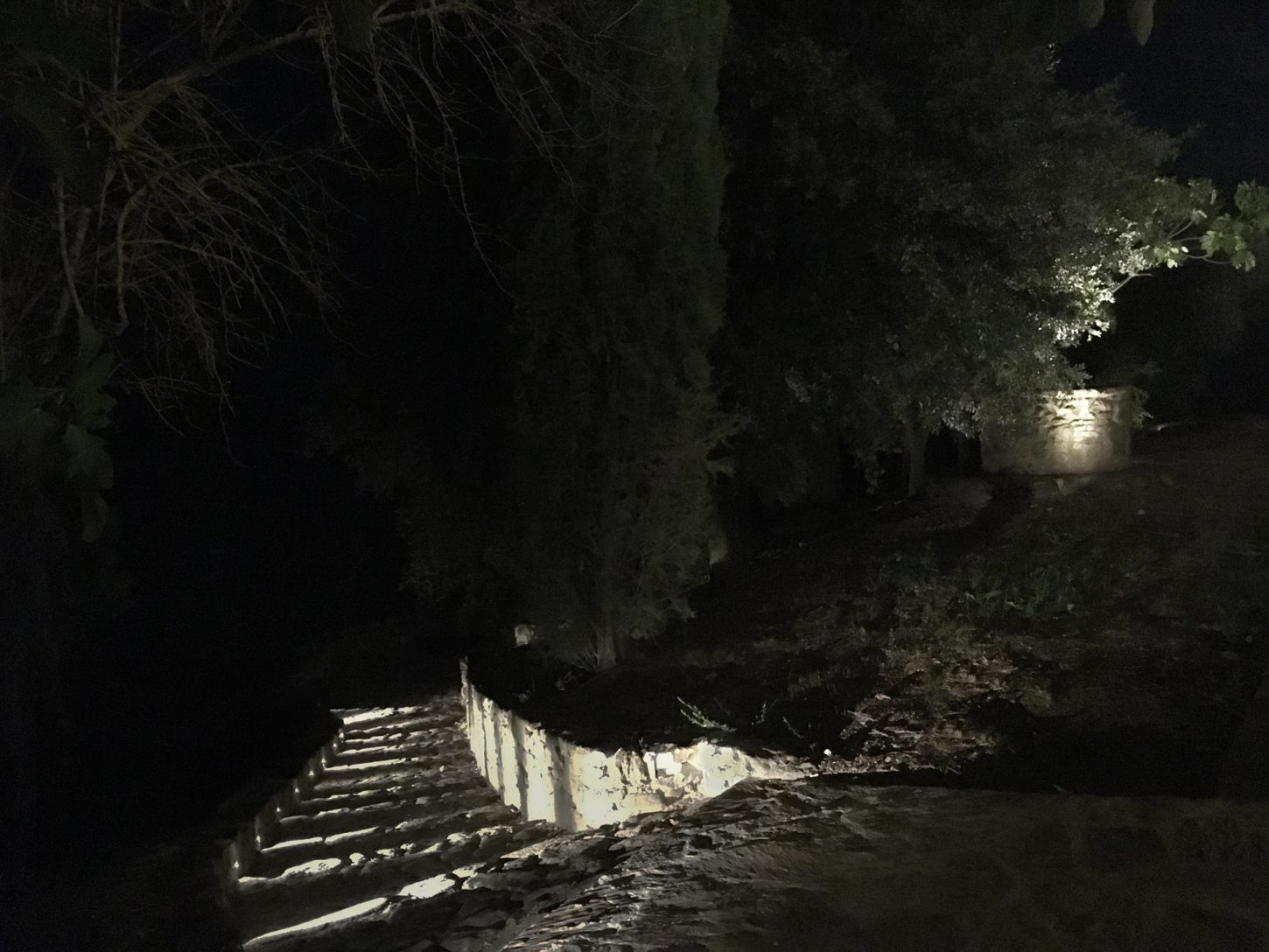 illuminazione-esterni-giardini-ville-belriguardo-metrolight-7