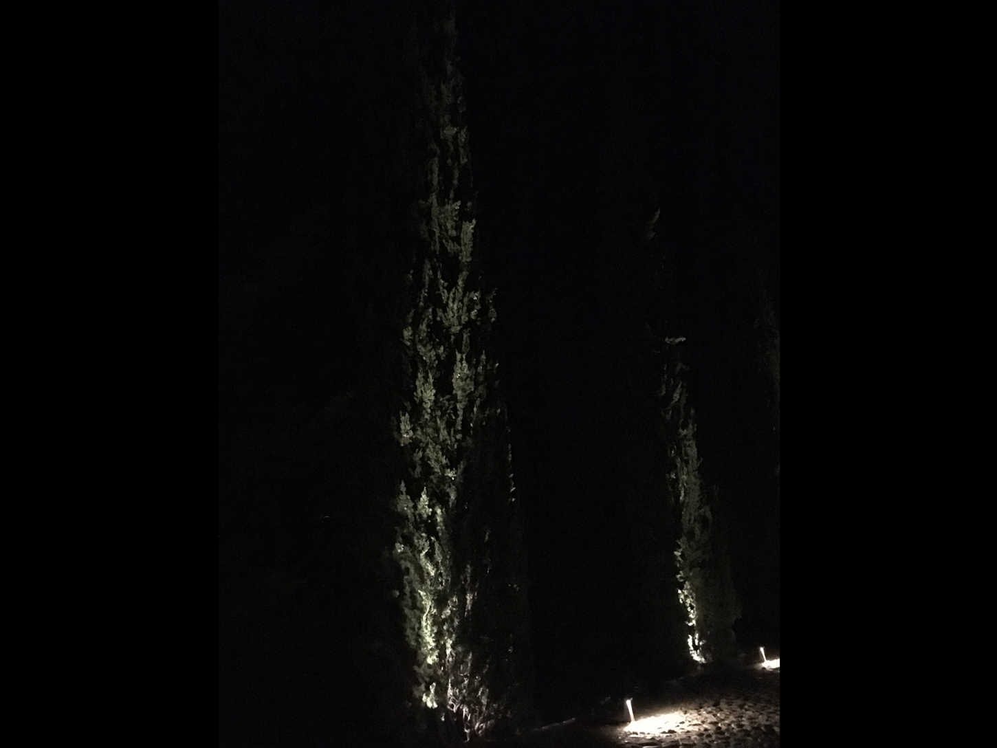 illuminazione-esterni-giardini-ville-belriguardo-metrolight-9