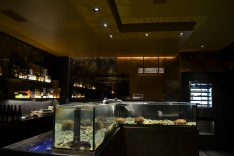 vivier-lighting-design-ristoranti-metrolight-10